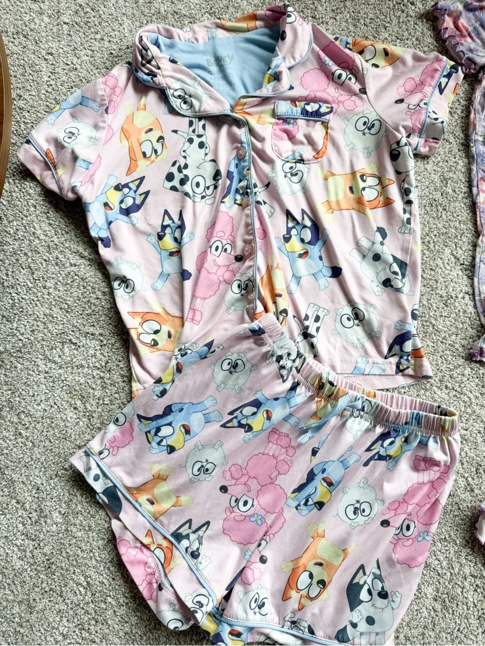 Kids Pink Bluey & Bamboo Floral Pajama Set - Short Sleeve Two-Piece 10/12
